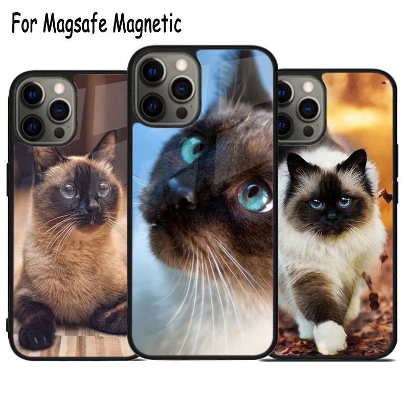 Чехол для телефона Siamese Cat Magsafe с беспроводной зарядкой для iPhone 15 16 14 13 11 12 Pro Max Plus, магнитный чехол-бампер