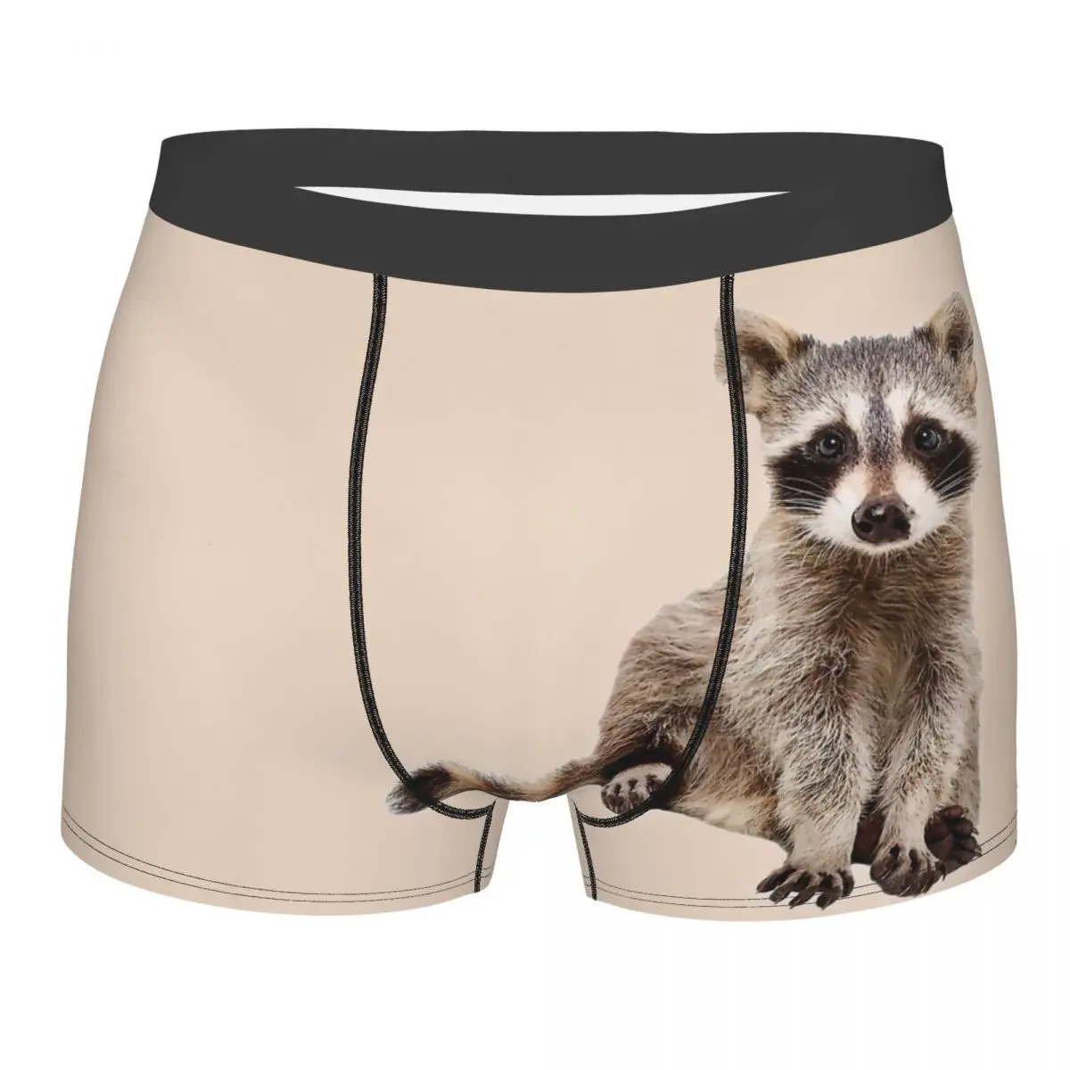 

A Little Raccoon Sits Funny And Looks At You Underpants Homme Panties Male Underwear Sexy Shorts Boxer Briefs