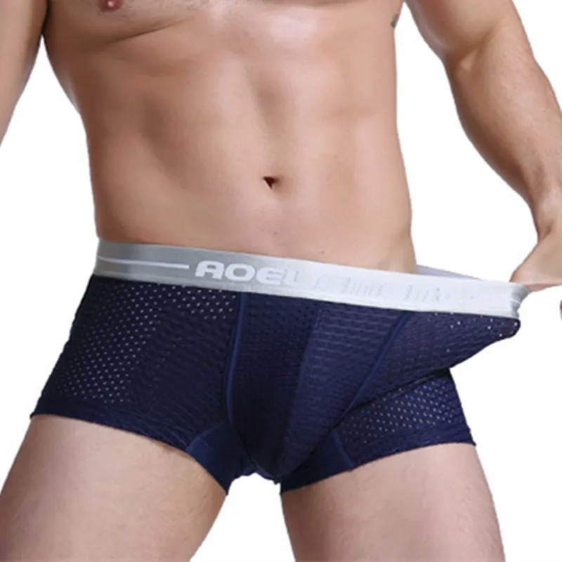 

Mens Underwear Boxers Ice Silk Mesh Panties Man Breathable U Convex Pouch Underpants Male Boxershorts Homme Cueca Calzoncillo