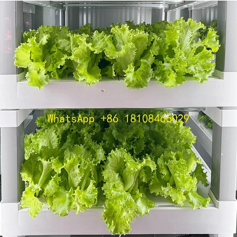 

Hydroponic Vegetable Growing Systems With App Skyplant Automatic Home Plant Smart Technology Intelligent Gardening