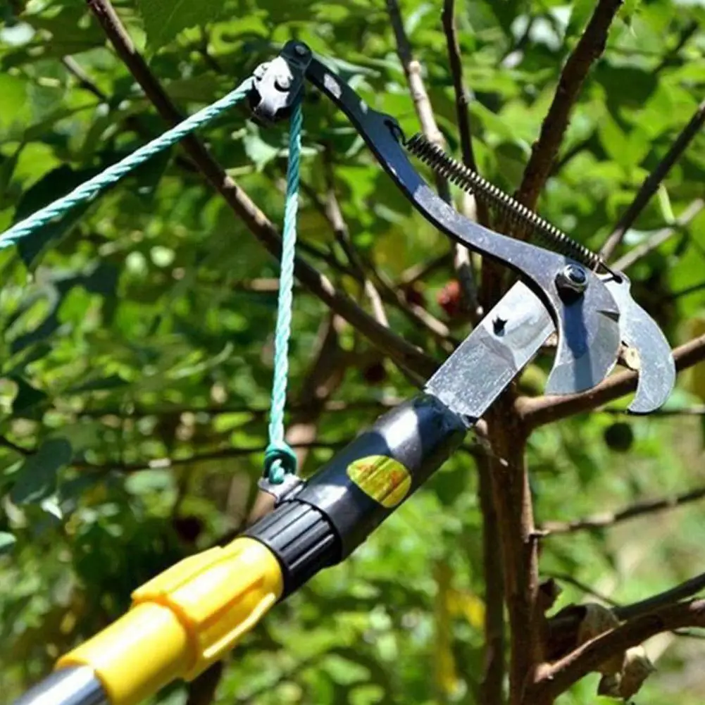 Imagem -02 - Tesoura Telescópica de Alto Ramo Selecionador de Frutas Jardinagem Ferramentas Especiais de Poupança de Trabalho Cortar Ramos Escolher Frutas e Trim Shoots