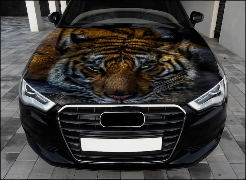 Tiger Car Hood Wrap Full Color Vinyl Decal Predator Sticker