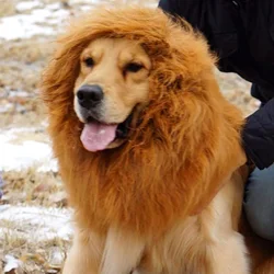 Pet Lion  Wig Costume Halloween Cosplay Costume Funny Pet Headwear Cat Hats for Cats and Small Dogs