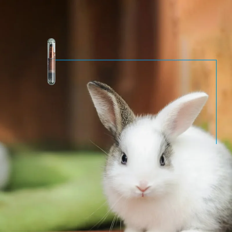 1.25x7mm Nano pet microchip smallest chips ISO FDX-B animal RFID transponder for snake,rat,mouse,rabbit,tortoise,turtle breeder