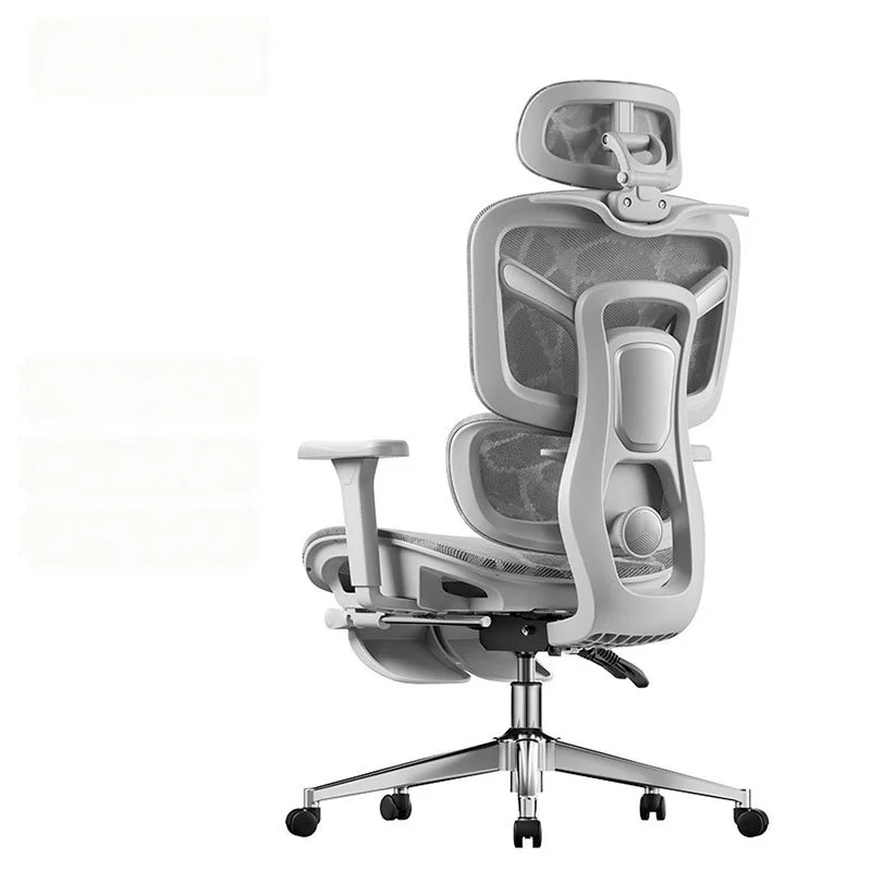 Home Office Ergonomic Computer Chair with Lumbar Support Reclining Backrest Seat for Long Sitting Work Adjustable & Multi-Use