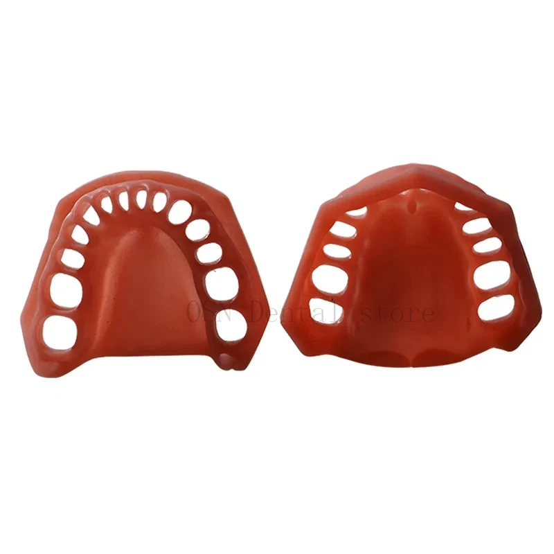 28 Teeth Soft gingiva Dental Training Gum Silicone Model Replacement Simulation Gingiva for Student Oral Teaching Aid