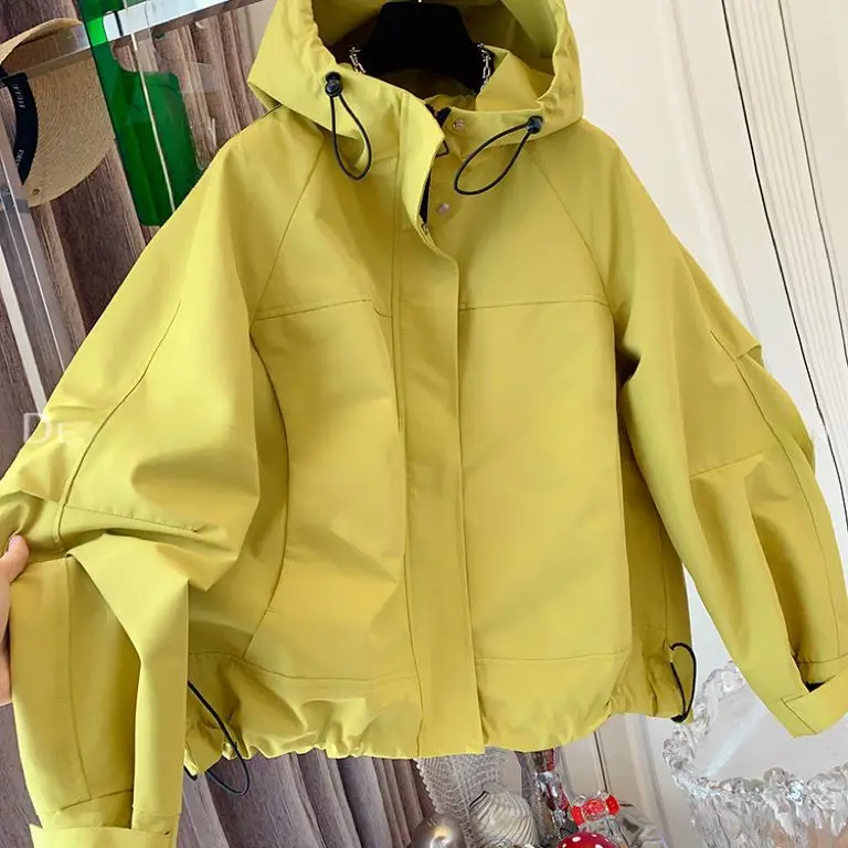 

Fashion Workwear Casual Hooded Jacket Women's Short Style Spring And Autumn Loose Top