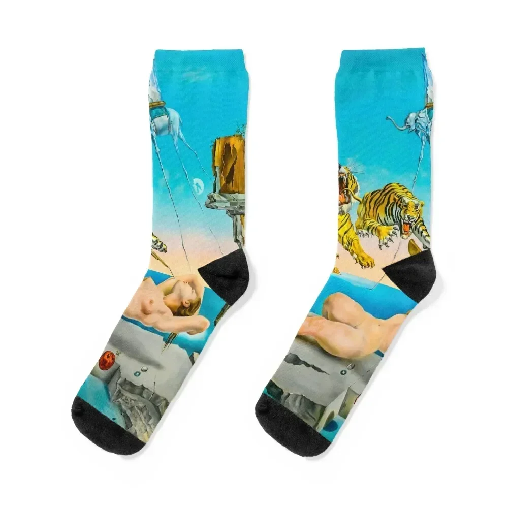 

Salvador Dalí's Dream Socks professional running crazy aesthetic Thermal man winter Socks Women Men's