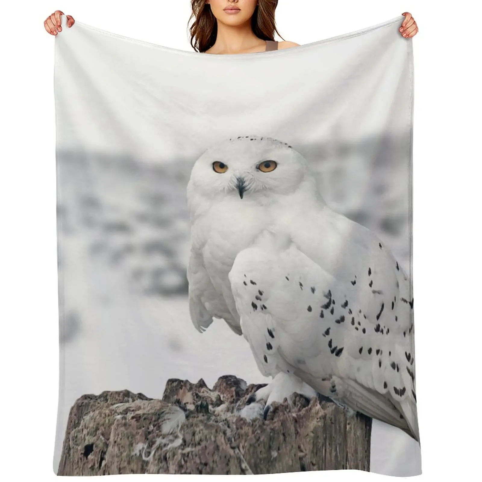 

owl in the snow Throw Blanket Nap Decorative Sofa Hairys Furrys Blankets
