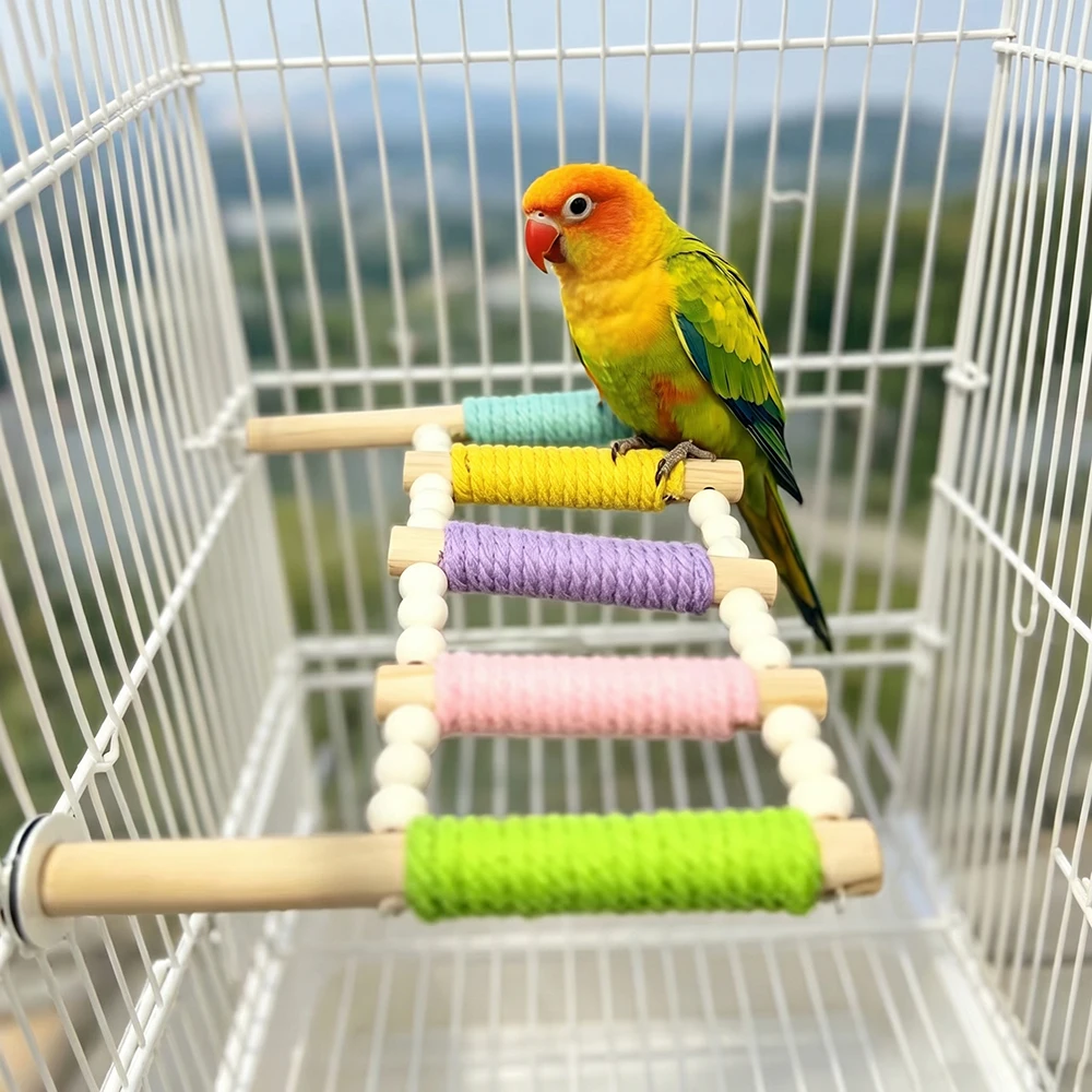 Thumbnail 4 - #40 Bird Cage Ladders Comparison Guide