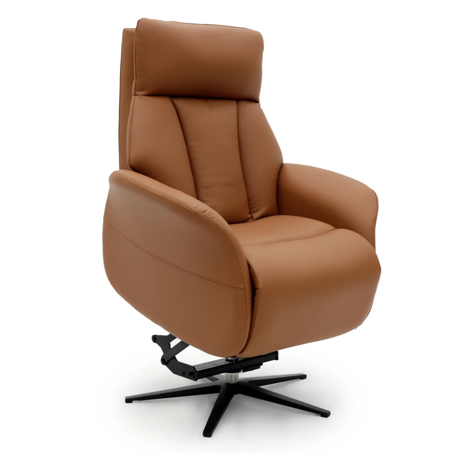 

Geeksofa Nordic Style Dual Motor Power Electric Mobility Medical Lift Riser Recliner Chair With Swivel Functions for the Elderly