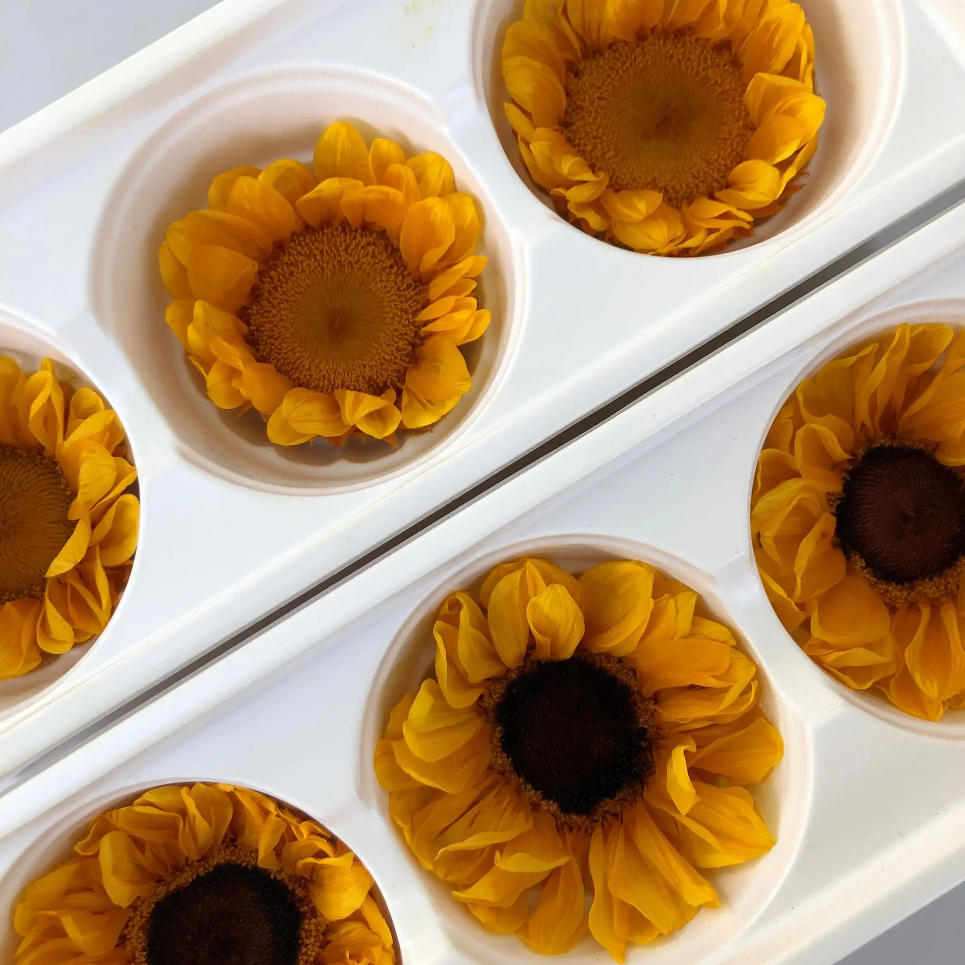 6-7cm 3pcs Fresh Sunflower Head Imperishable Real Flower Gerbera Mother's Day Gift Gift for Friend Home Decoration Real Flower