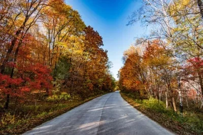 

65-миллиметровые высокопрочные металлические колеса с шинами для радиоуправляемых машин MJX HYPER GO 14303 14304 14302 14301 1/14, запчасти для модификации.