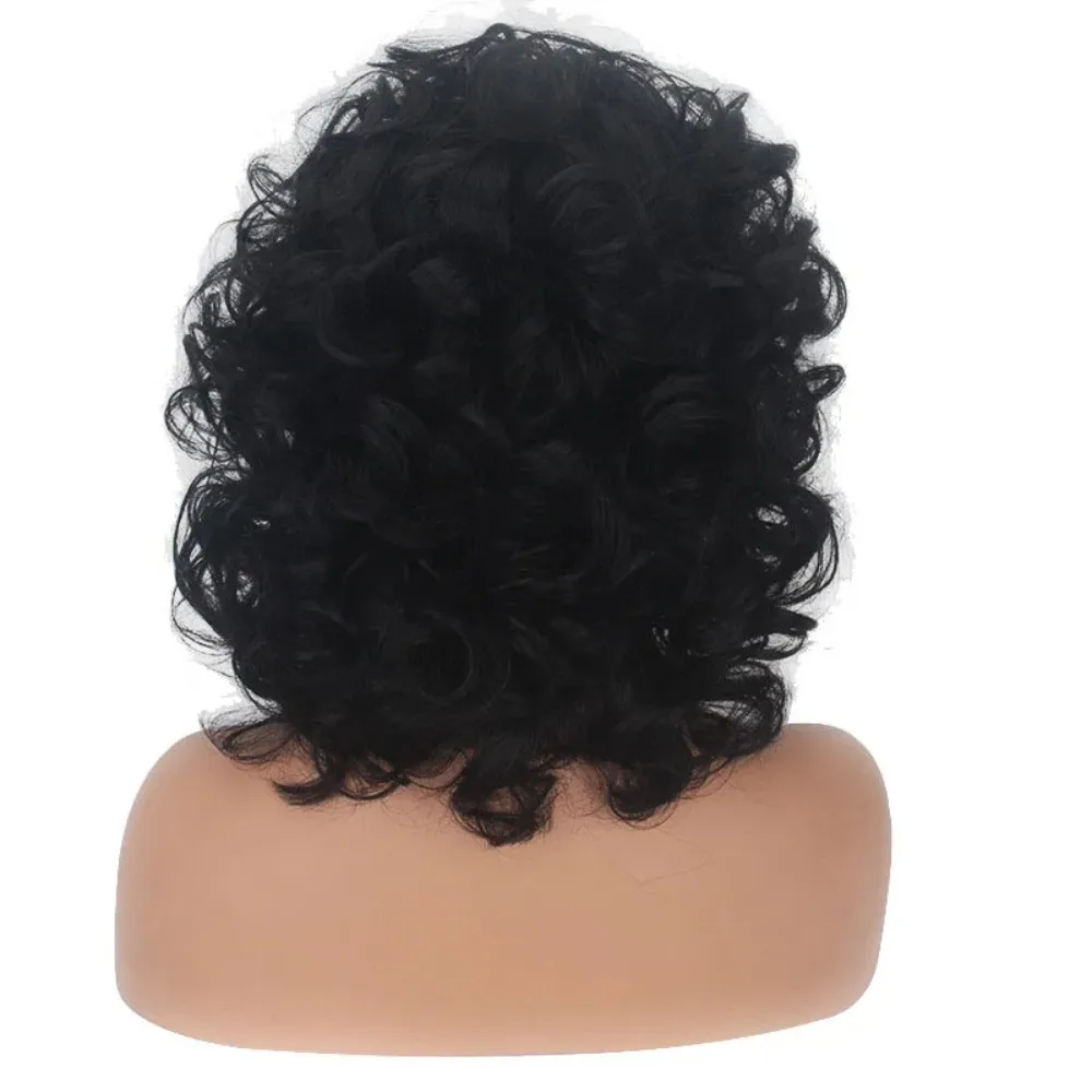 Synthetic Curly Wig Natural Kinky Afro Style Heat Resistant Fiber Wig for Women Glueless Daily Party Use