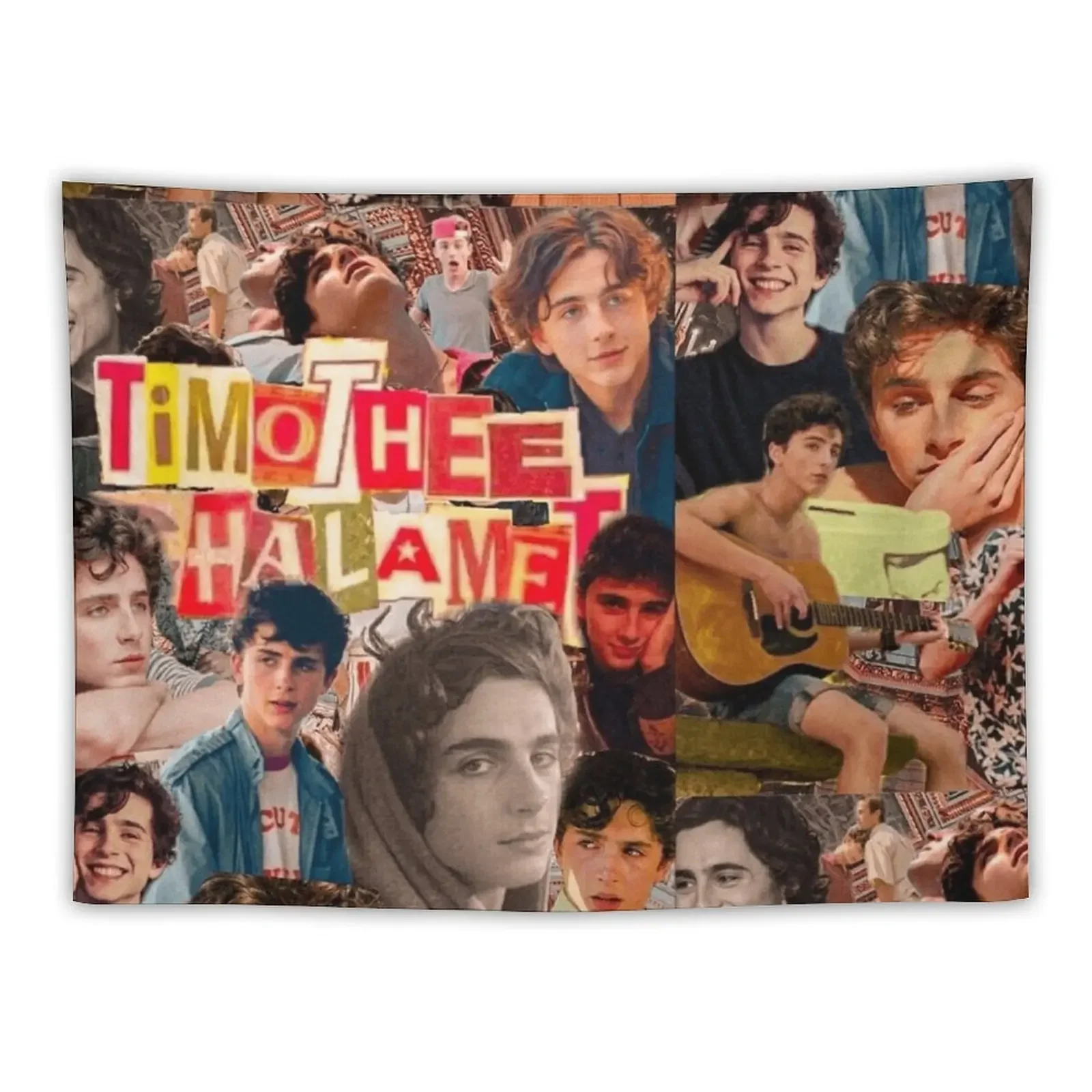 Timothée Chalamet Tapestry Room Decor For Girls Wall Coverings Tapete For The Wall Room Aesthetic Decor Tapestry