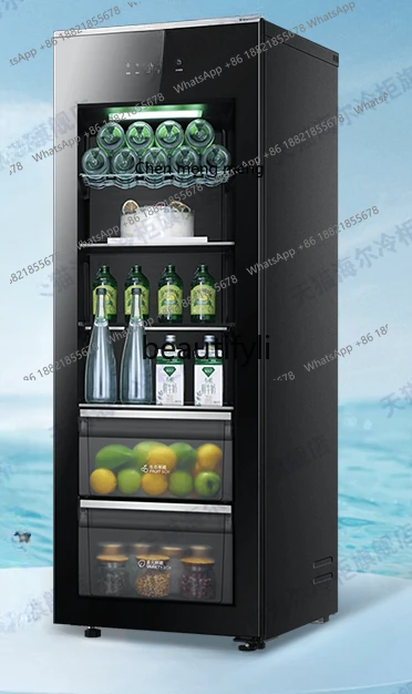 

Z189 Ледяной батончик объемом 200 л, бытовые напитки без мороза с воздушным охлаждением, листья фруктов и чая, холодильный шкаф