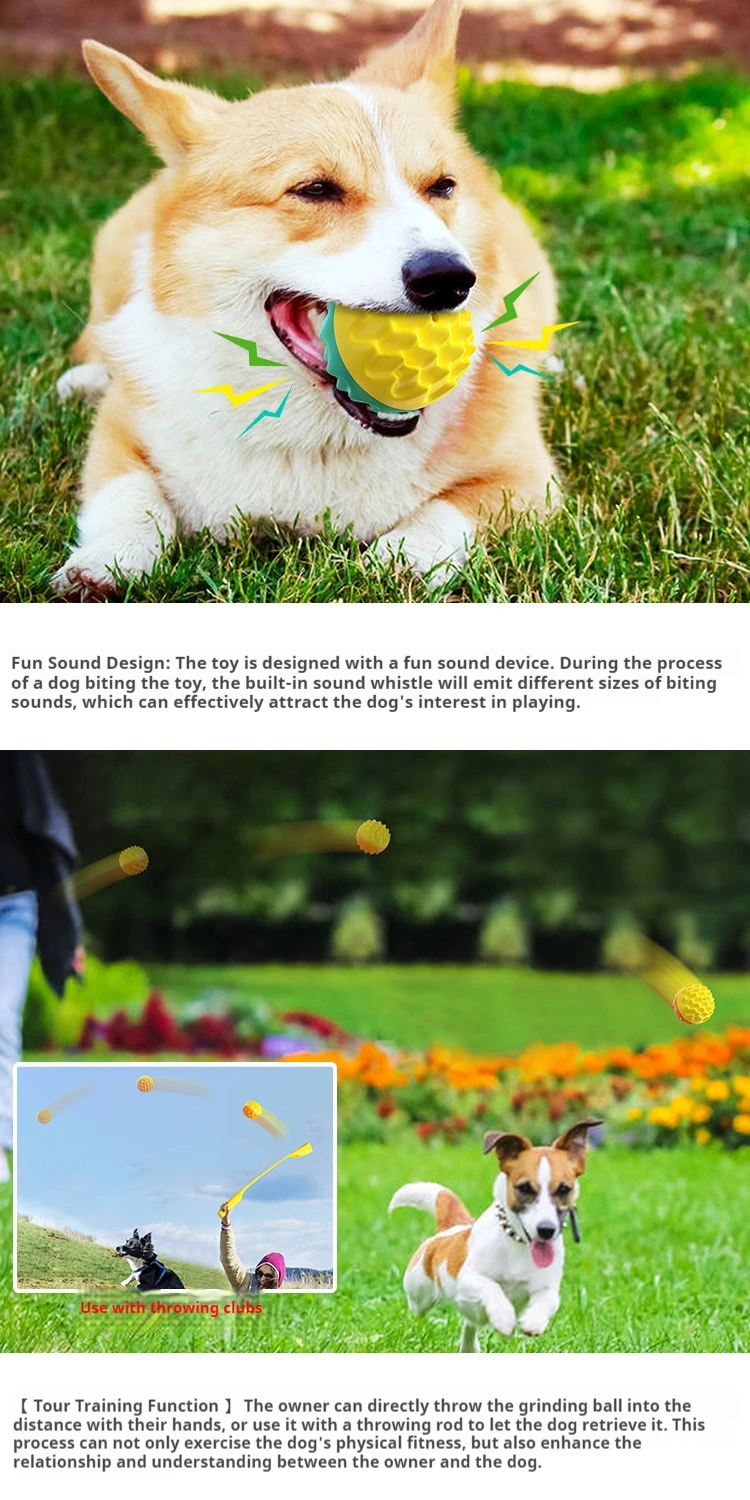 Langlebiger Bissfester Elastischer Quietschball, Eingebauter Sound Zahnreinigungsspielzeug für Hunde und Katzen im Haus – Detail 4
