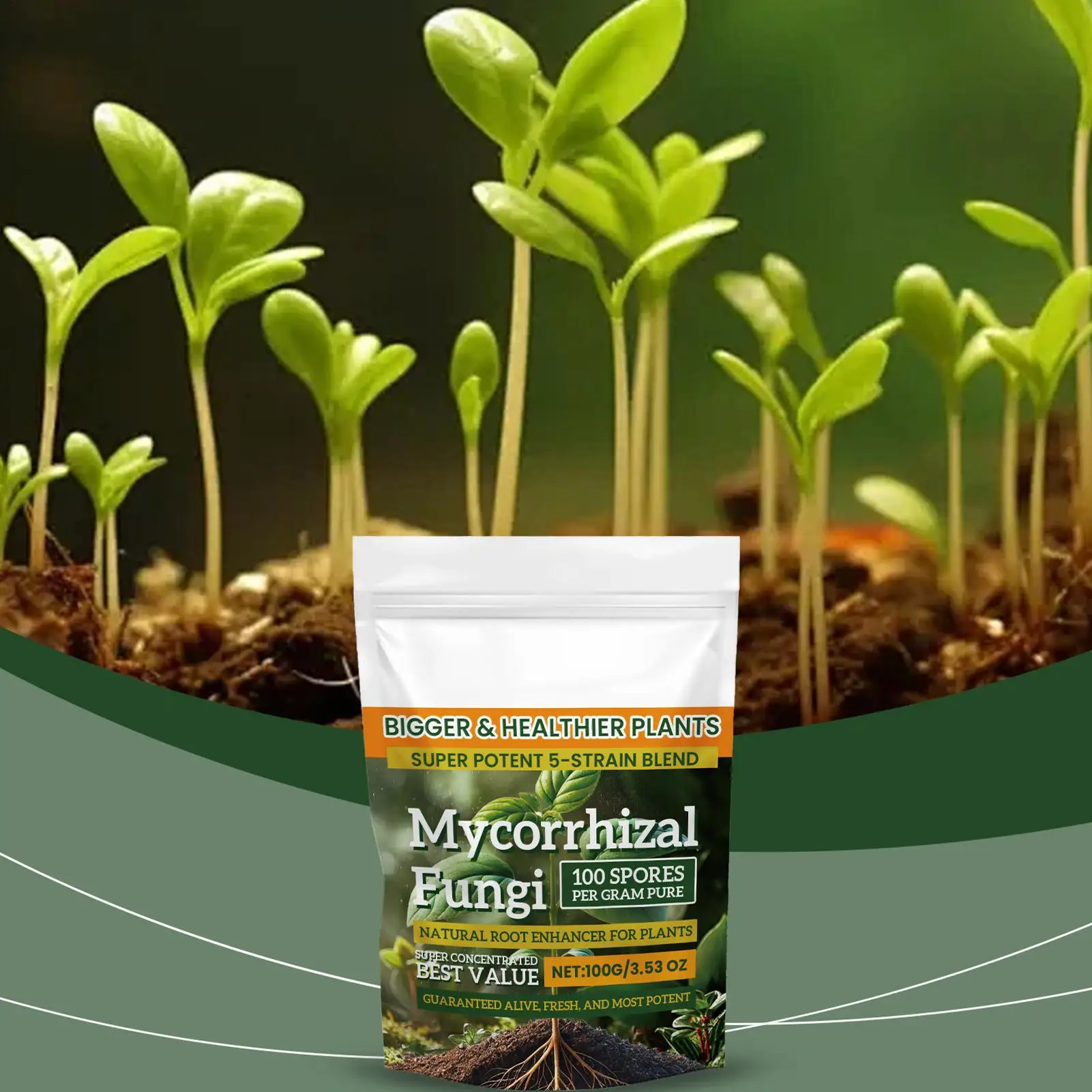 100g Organic Plant Root Enhancer Powder Root Boosting Growth Horticultural growth fertilizer powder Natural nutrition for Home