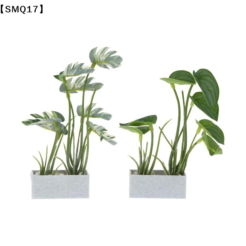 Miniature Turtle Back Bamboo Potted Plant Ornament Dollhouse Greenery Model Dollhouse Mini Garden Scene Decor Micro Props【SMQ】