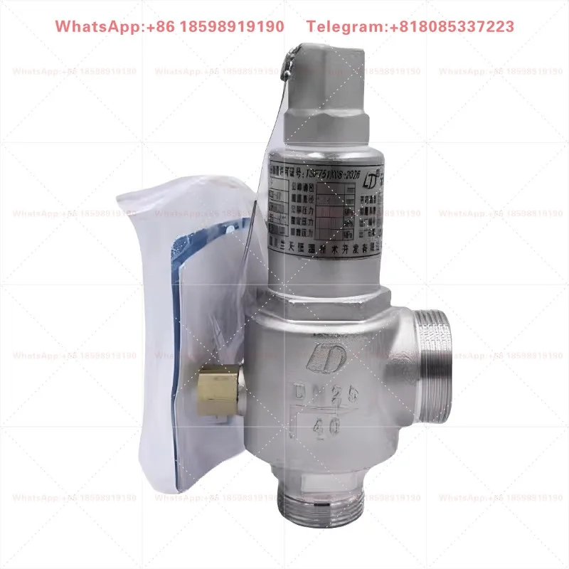 DA21F-40P DA22F-40P Low Temperature Safety Valve Stainless Steel Cryogenic Relief Valve For Liquid Oxygen Nitrogen LNG