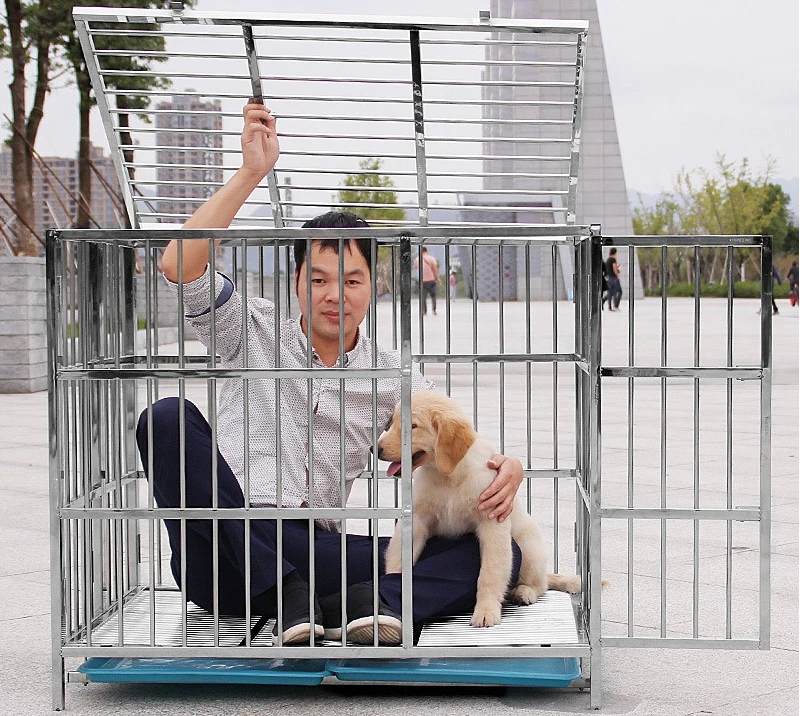 

Stainless steel, dog cage, golden retriever, teddy, samoyed, pet, square tube