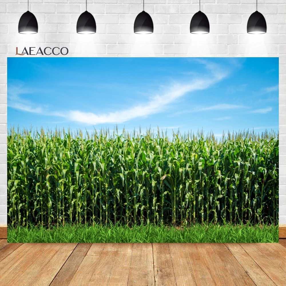 

Laeacco Countryside Green Corn Field Maze Backdrop Rural Farm Crop Plant Cultivation Natural Scenery Photography Background