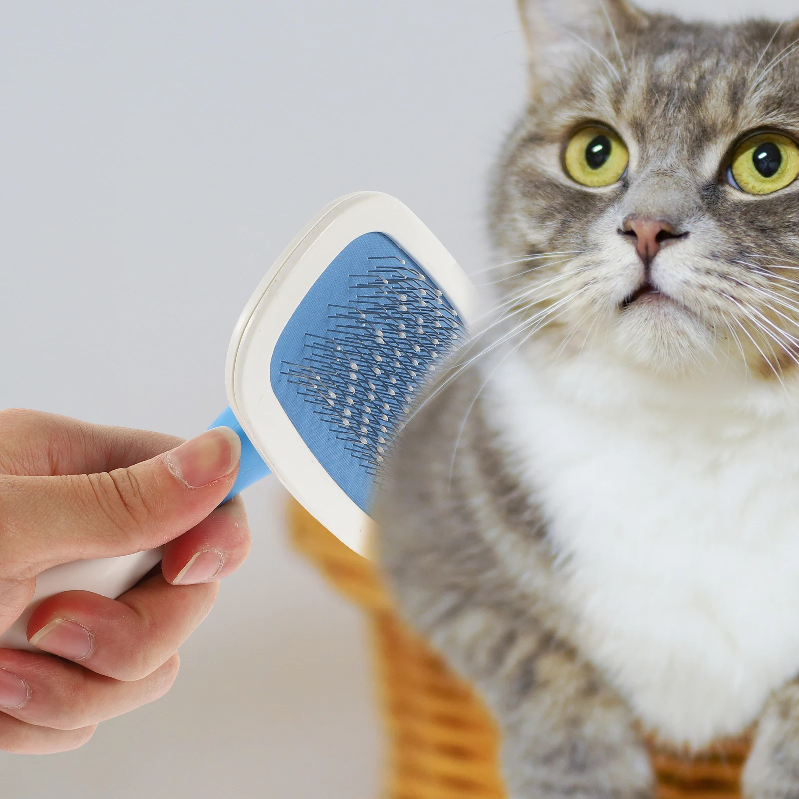 

Ergonomic Massage Needle Comb Cleaning Brush Tool For Cat Dog Detangling Loose Hair Removal Pet Grooming Brush Pet Hair Cleaner