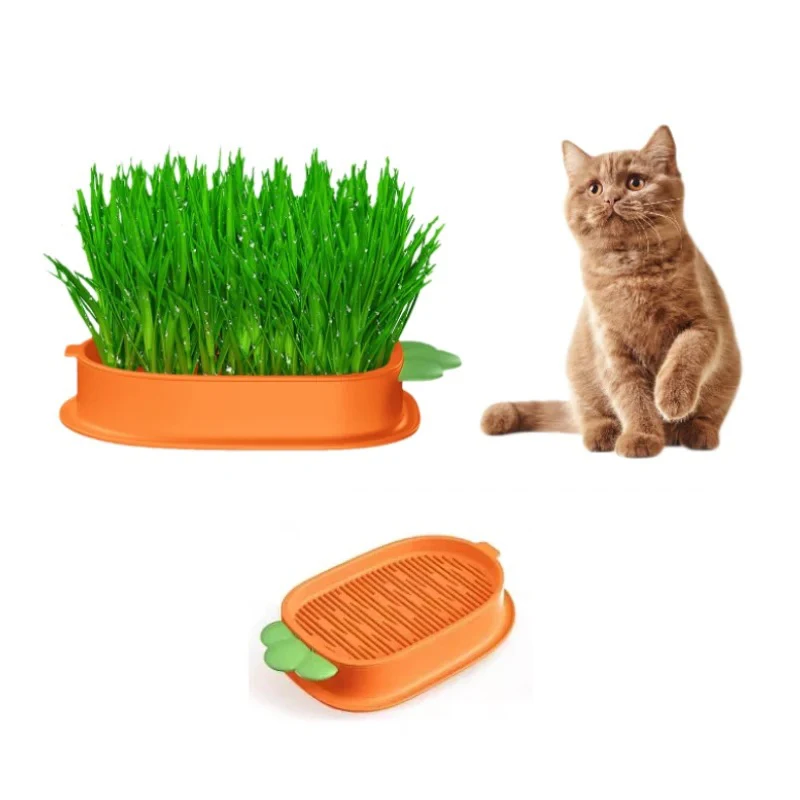 New Pet Cat Sprout Dish Growing Pot Hydroponic Plant Cat Grass Germination Digestion Starter Dish Greenhouse Grow