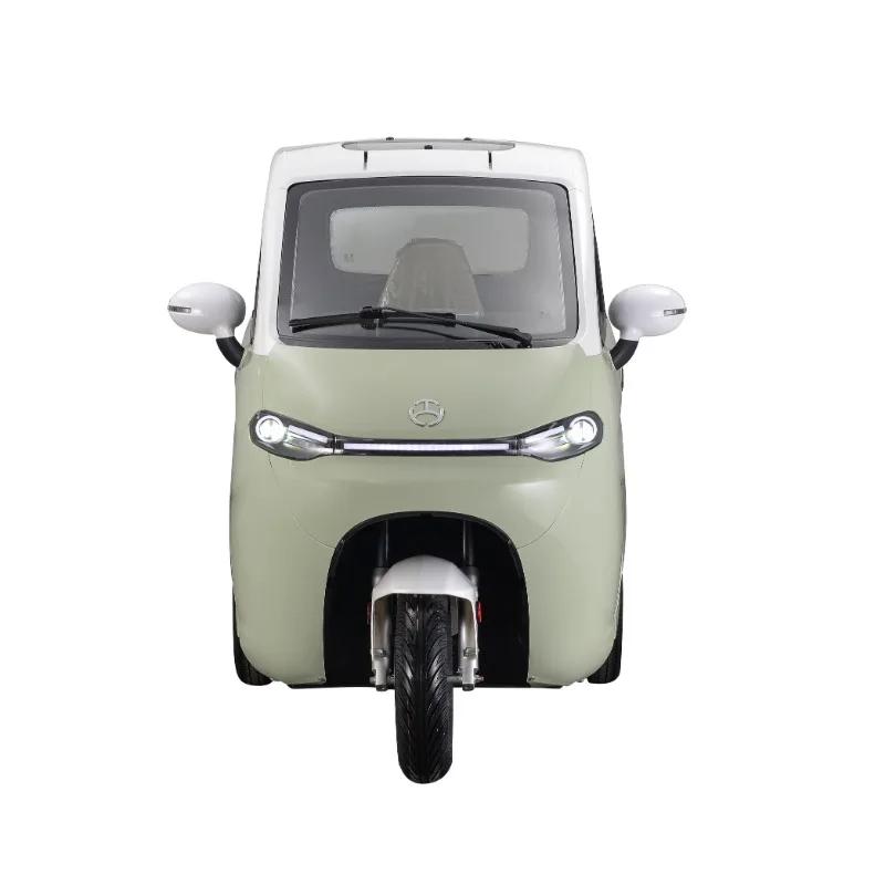 Three Wheel Covered Motorcycle Adult Electric Tricycle