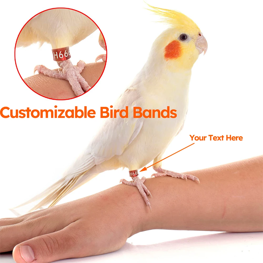 10pcs Customized Bird Rings, Durable Random Color Metal Bird