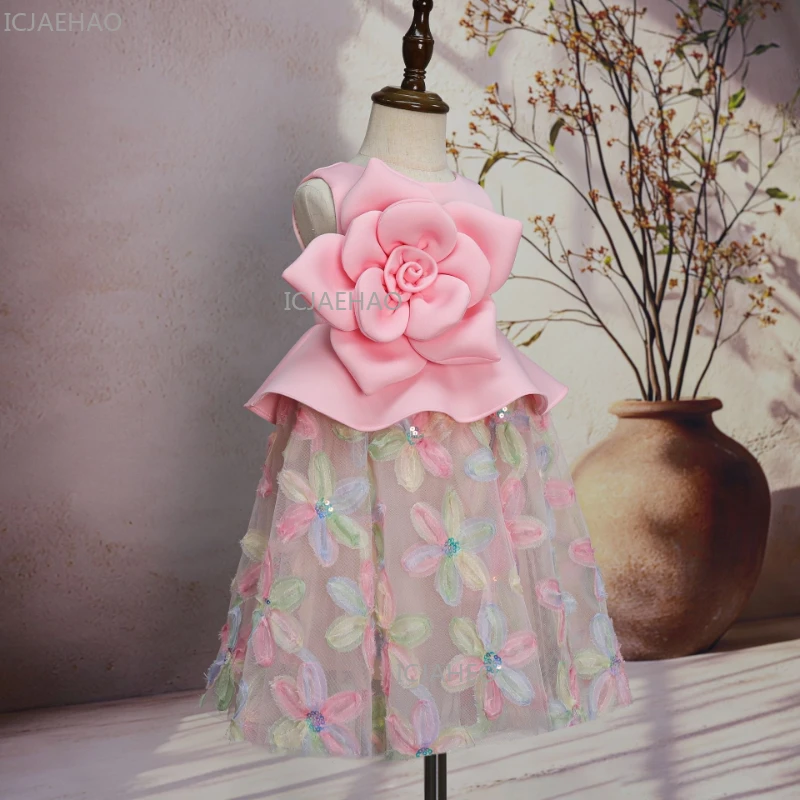 First Birthday Girls Princess Dress 3D Floral Gown Flower Girl Party Kids Pageant Host Performance Children Formal Celebration