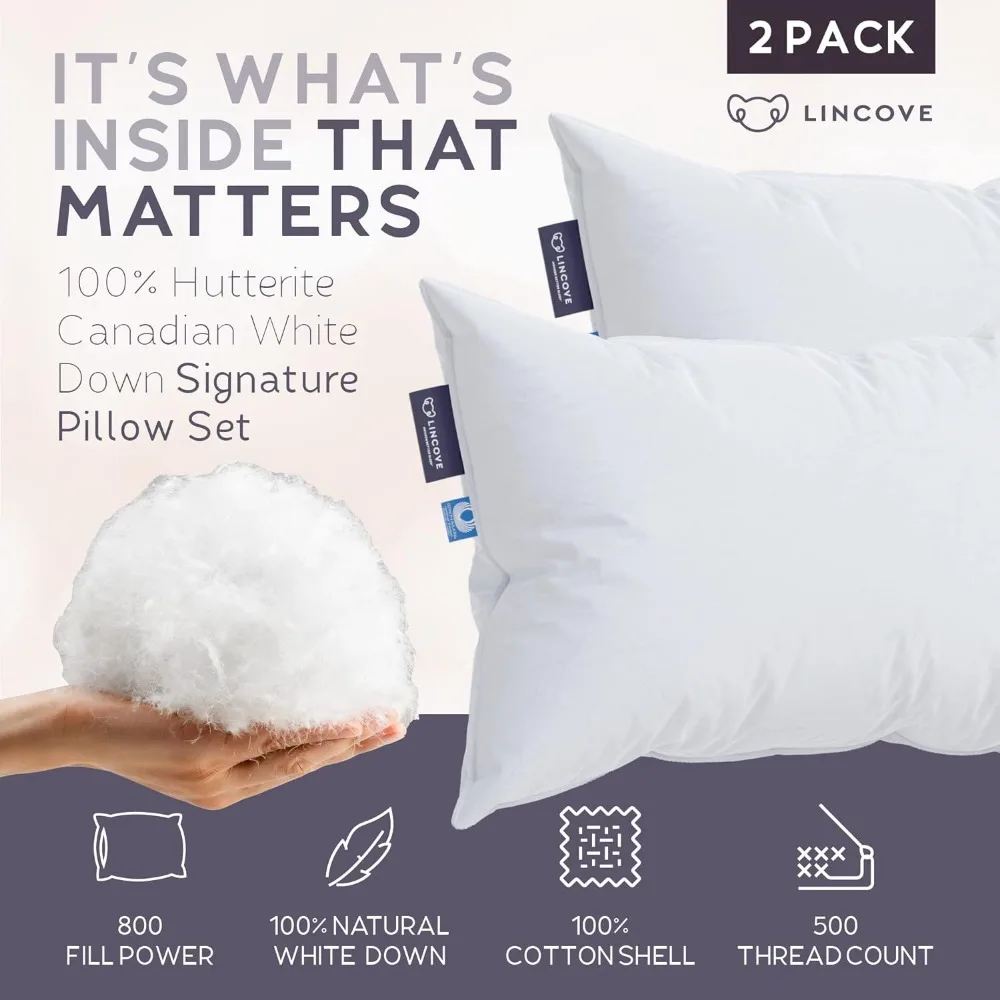 Signature 100% Natural Canadian White Down Luxury Sleeping Pillow - 800 Fill Power, 500 Thread Count Cotton Shell