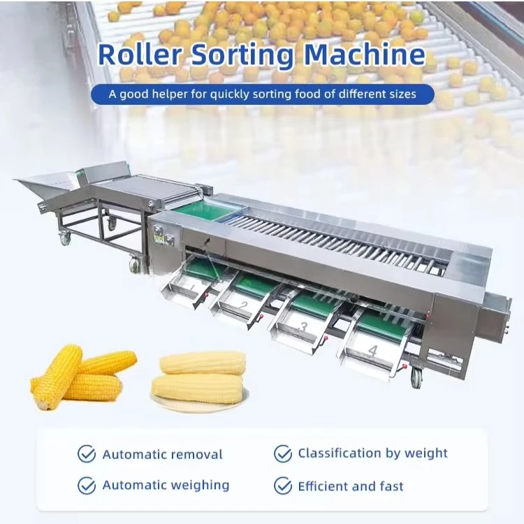 Pomegranate and Mango Fruit and Vegetable Sorting Machine