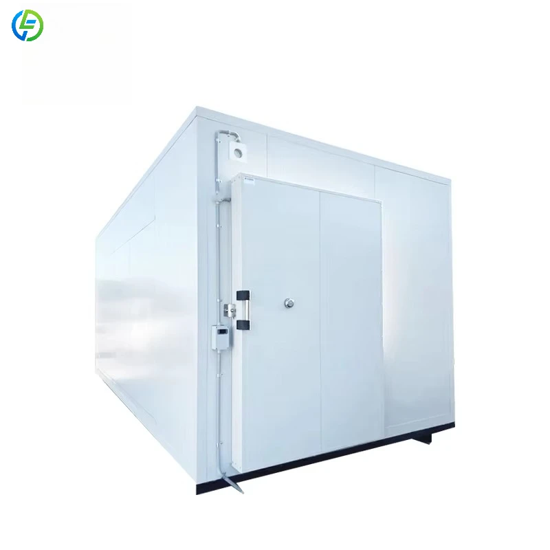 New Blast Freezer Room Wide Cold Room Price Supermarket Walk in Cooler and Freezer for Storage