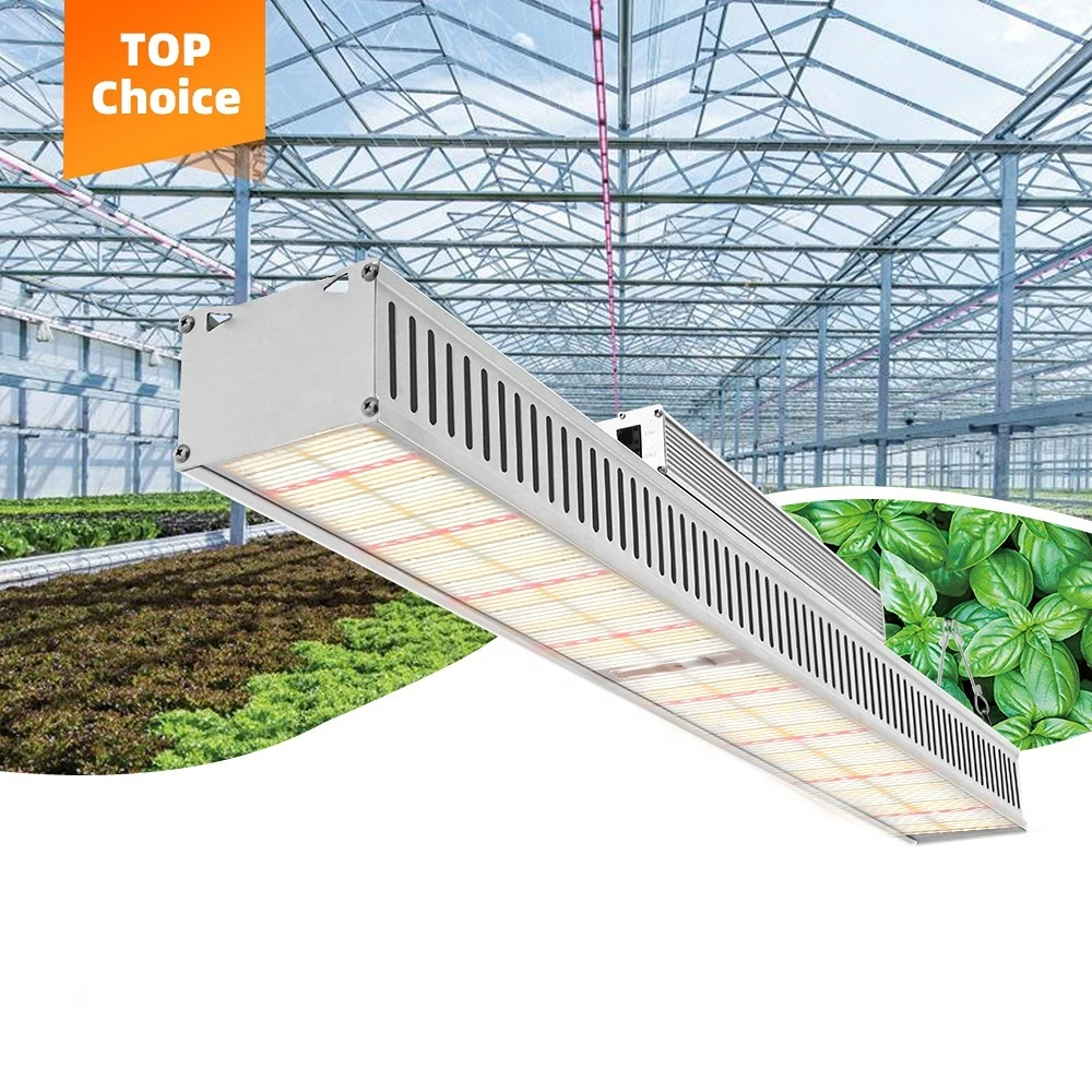 Sunplus New Greenhouse Supplemental Led Top Light High Ppfd 600W Lm301H Full Spectrum Slim Horticulture Grow Light Led Bar