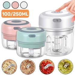 Mini picadora eléctrica para cocina, trituradora de ajo, verdura, Chile, carne, jengibre, resistente, duradera, carga USB, 100/250mL