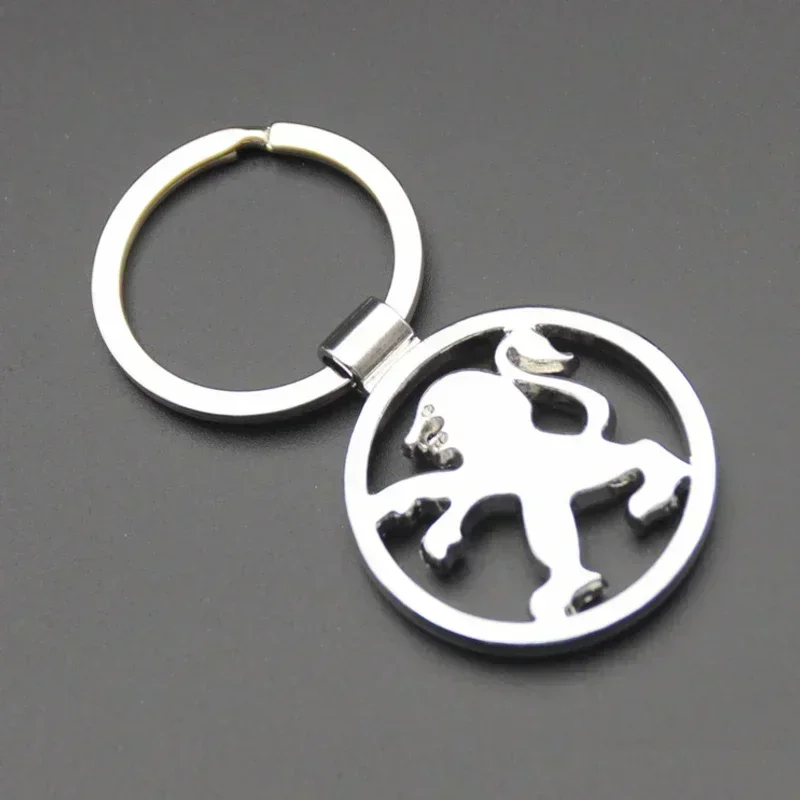 Car Key Ring Chain for Peugeot 206 308 207 2008 107 307 208 306 3008 408 508 205 4008 5008 103 106 406 407 301 Keychain Keyring