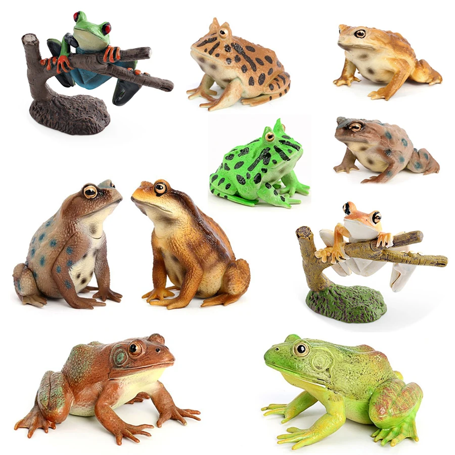 Realistic Toad American Bullfrog Tree Frog Horned Frog Figurine  Rainforest Woodland  Animal Model Figure Educational Toys Gift