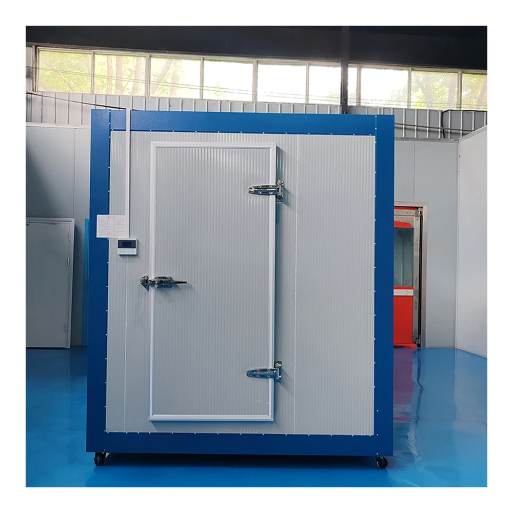 Hot Sale Cooling and Room System Insulated Cold Storage Room for Meat