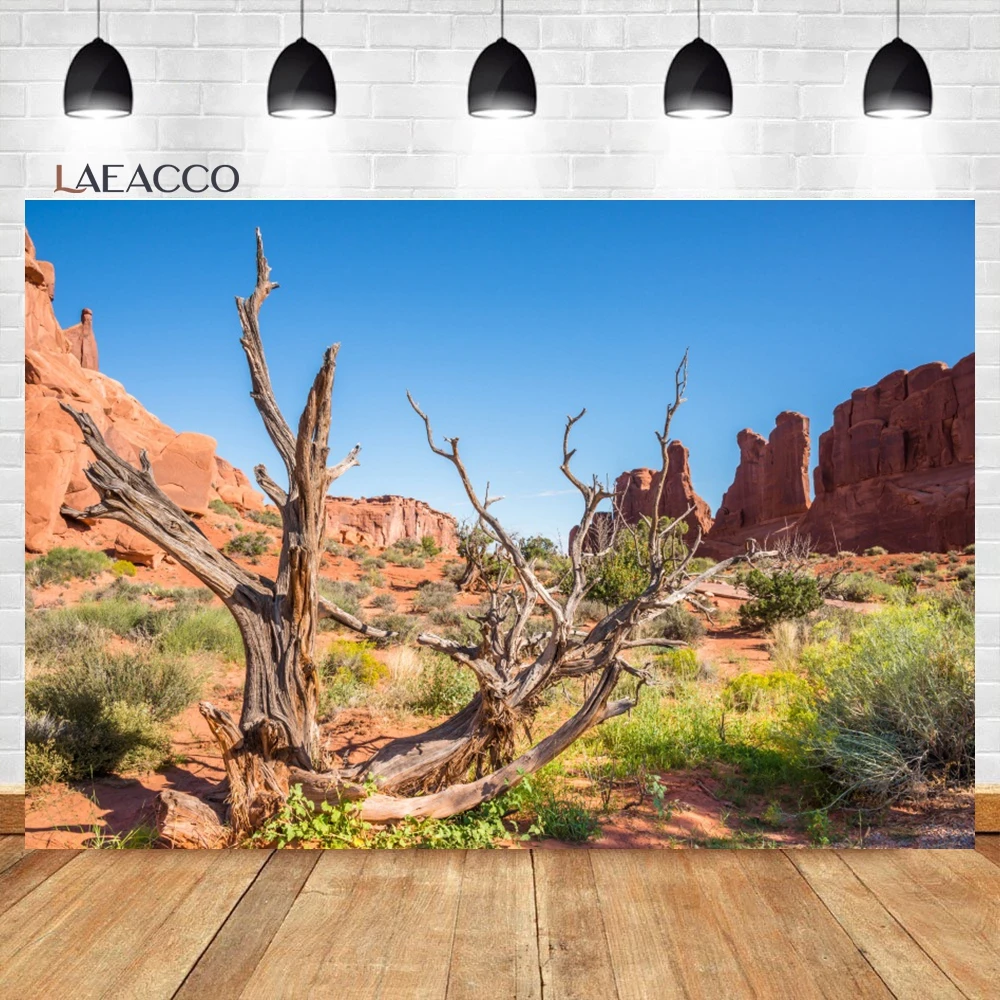 Laeacco Sandstone Desert Mountain Backdrop Blue Sky White Clouds Cactus Natural Scenery Adults Portrait Photography Background