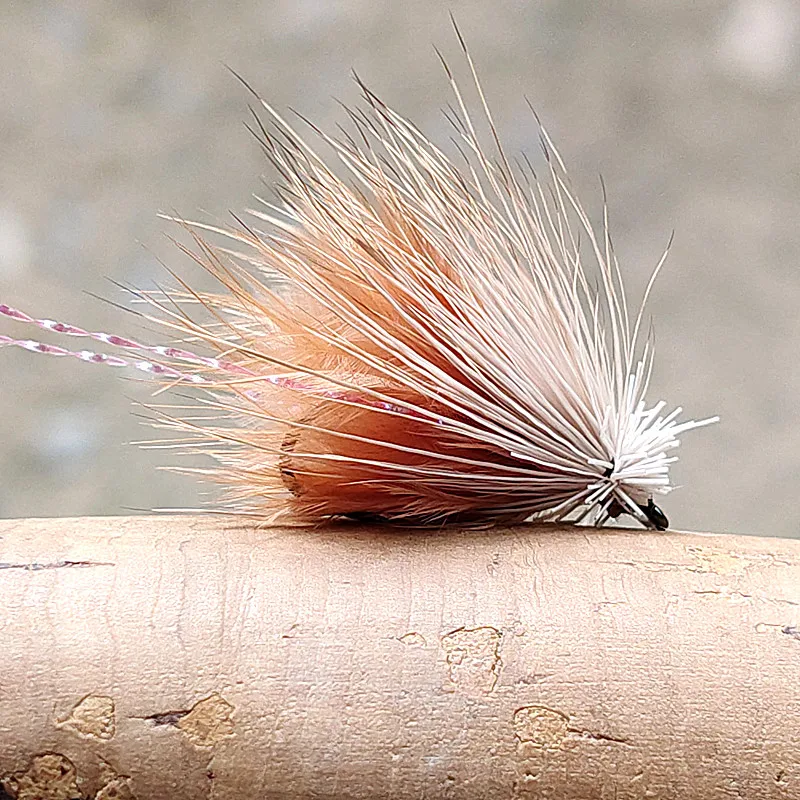 5 Stück Imitations-Caddis, eine gängige Art von Trockenfliegen zum Fliegenfischen und schwimmendem Köder, wird häufig mit Fliegenfischerei-Ausrüstung kombiniert. – Detail 5