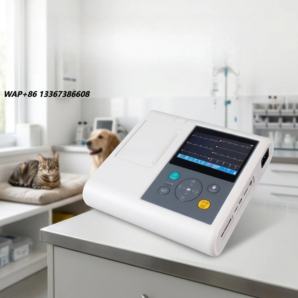 ⚠ AT Pet Clinic Veterinary Equipment Electrocardiograph High Precision Digital Filter Automatic Baseline Adjustment Professional
