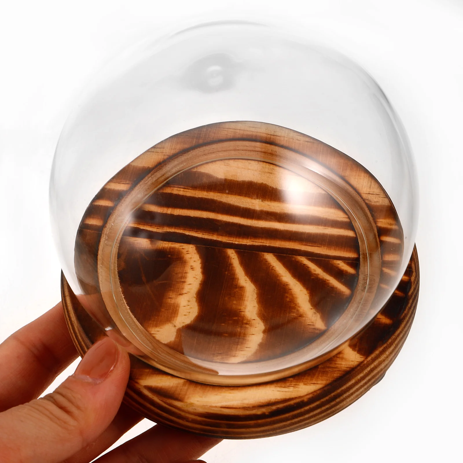 

Glass Dome Display Case 10cm Transparent Cloche Burned Color Base Food Home Decor Small Collectibles Preservation Storage