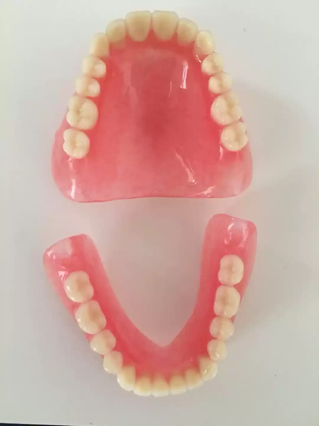 Wholesale Full Mouth Denture Model Elderly Full & Half Mouth Teeth Model Dental Teaching Sample Display Model
