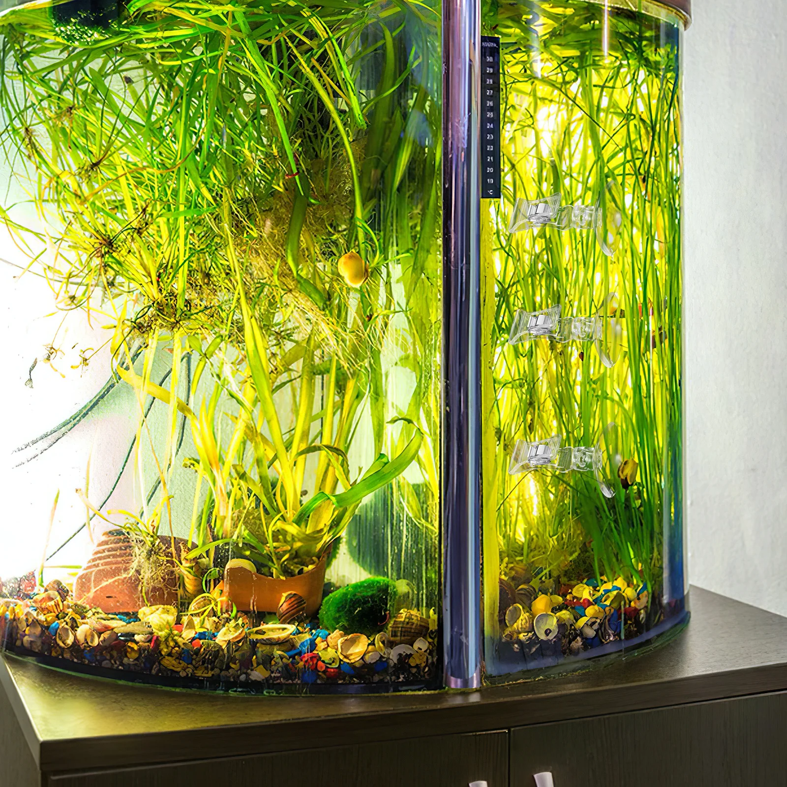 

4pcs Aquarium Feeding Clip Seaweed Suction Cup Fish Tank Veggie Holder Tool Accessory Waterproof Underwater Mounting