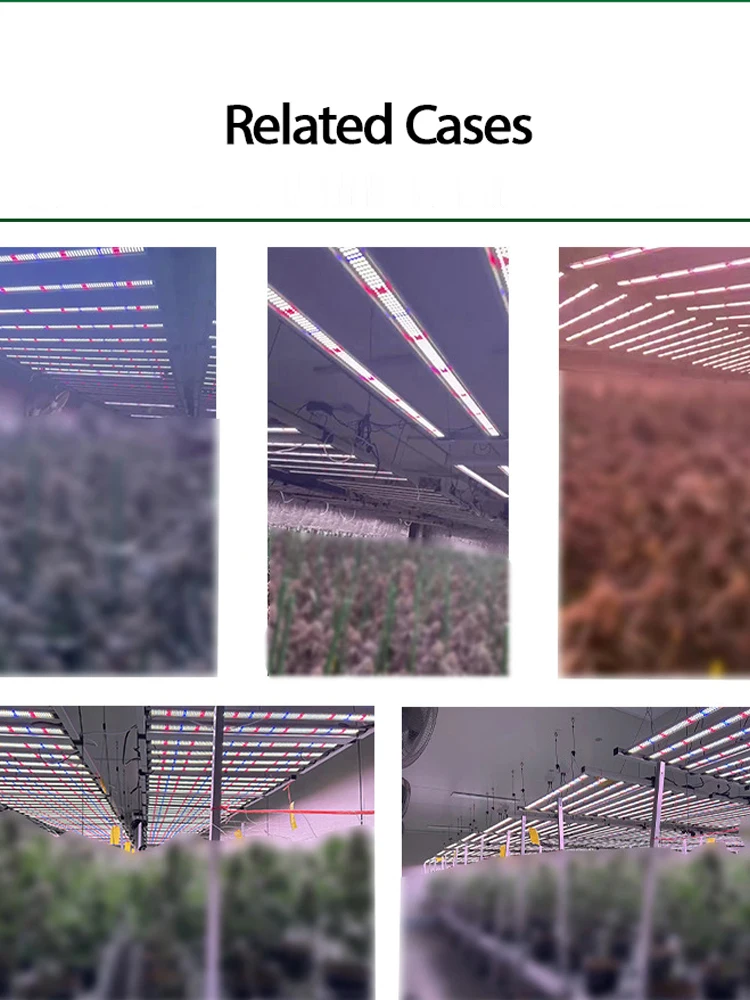 ضوء نباتي LED كامل الطيف، ضوء تكميلي خاص لنبات الأخطبوط لمزارع الدفيئة الداخلية في أوروبا وأمريكا