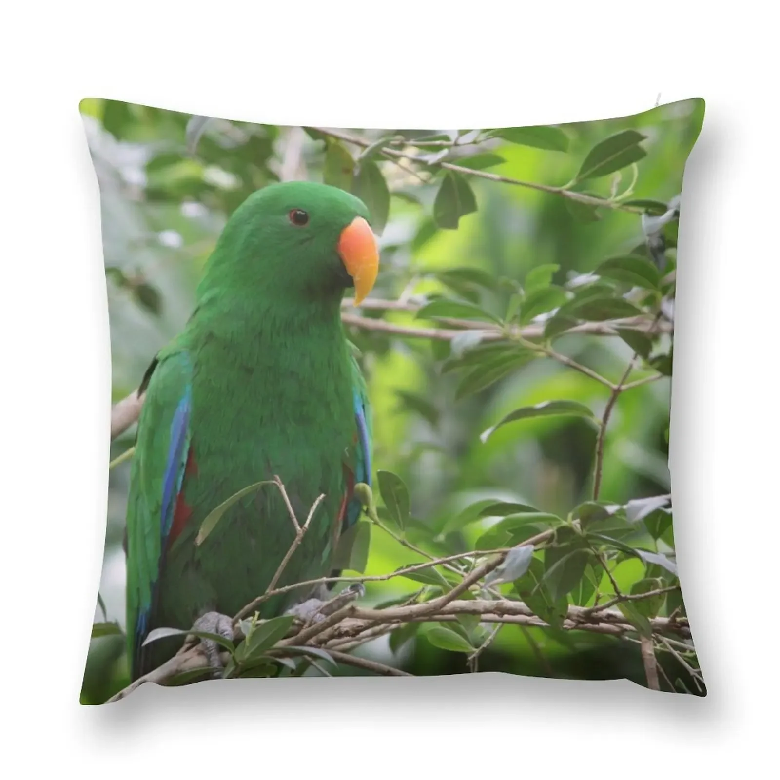 Male Eclectus Parrot Throw Pillow Luxury Pillow Case pillow pillowcase