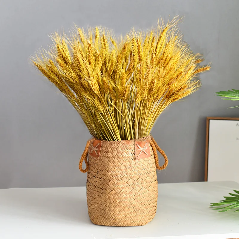 

LuanQI Cylindrical Plant Seagrass Basket Handwoven Plant Basket Wicker Woven Planter Nordic Home Decoration Supplies