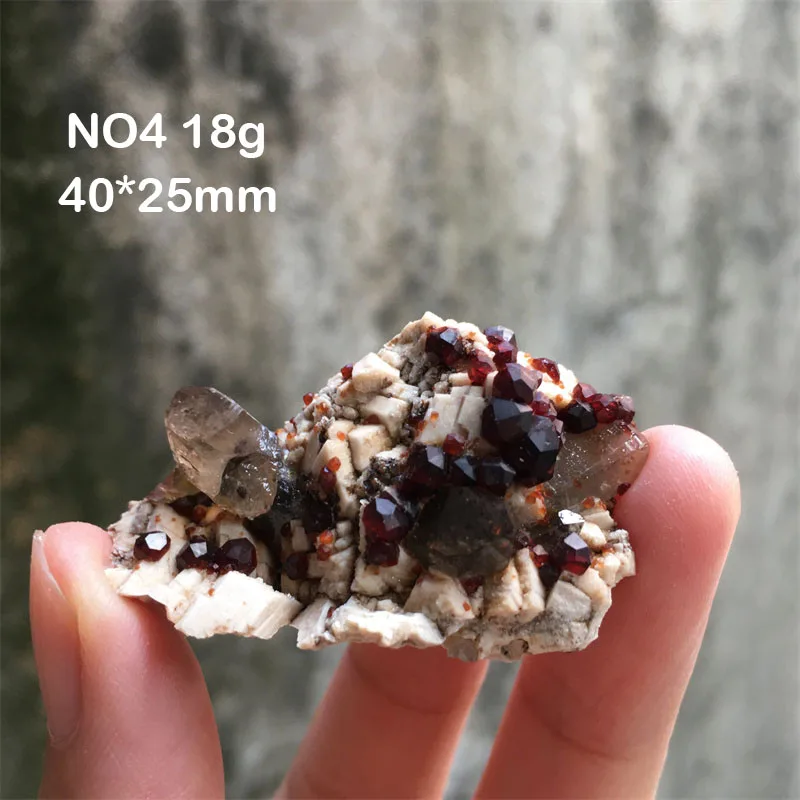 100% Natural Garnet Mineral Specimen Stones Healing Crystals Quartz Cluster Home Decor Teaching And Scientific