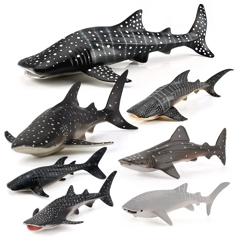 Simulatie Zeedieren Walvishaai Model Actiefiguren Oceaan Aquarium Miniatuur Beeldjes Educatief Speelgoed Kinderen Volwassen Geschenken